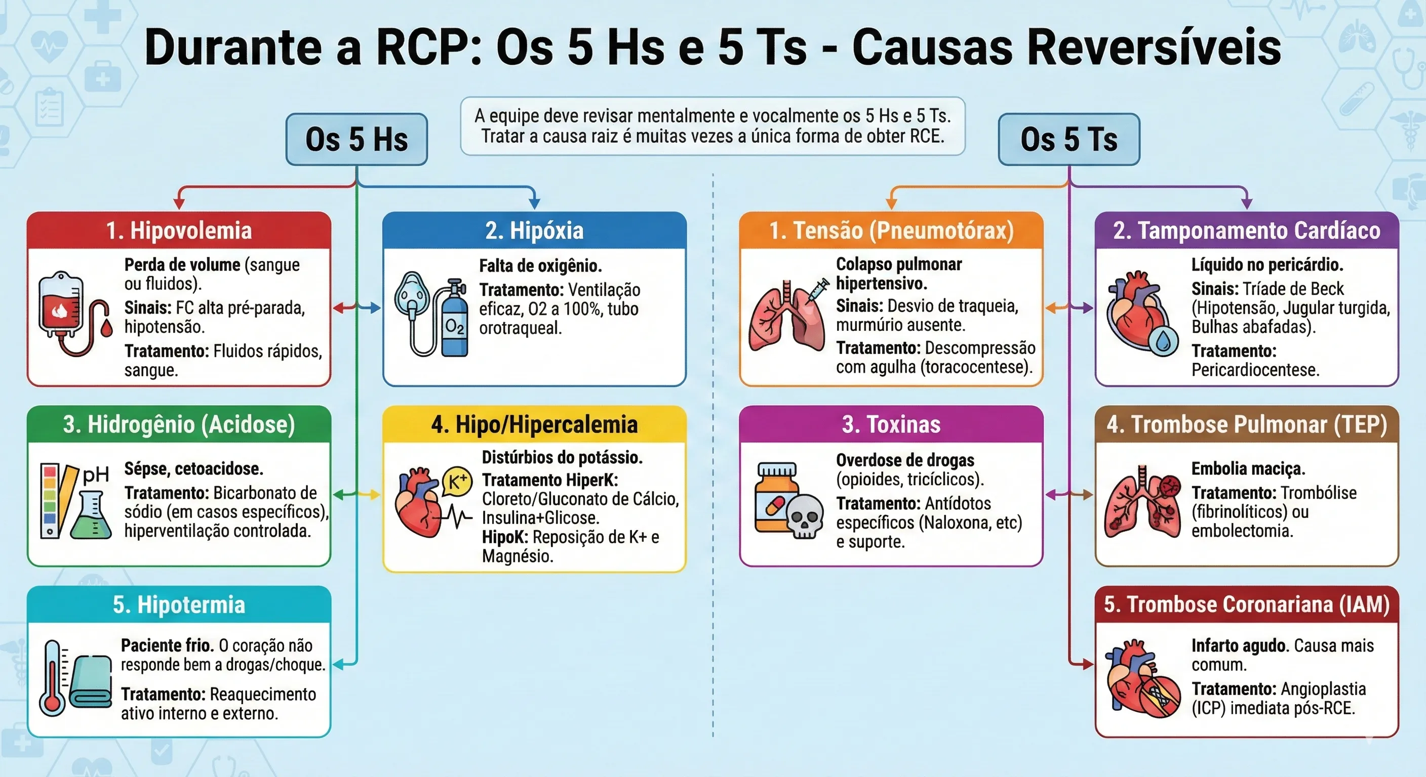 10 Causas De PCR
