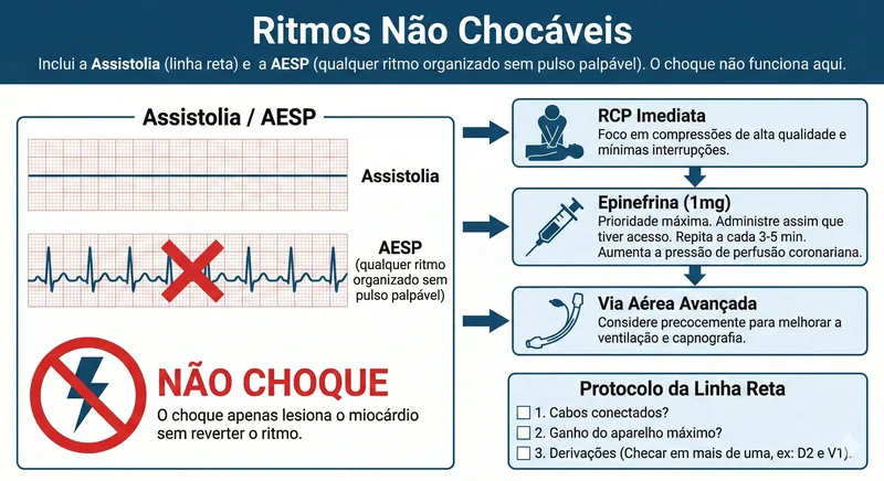 Traçado de ECG Ritmos Não Chocáveis